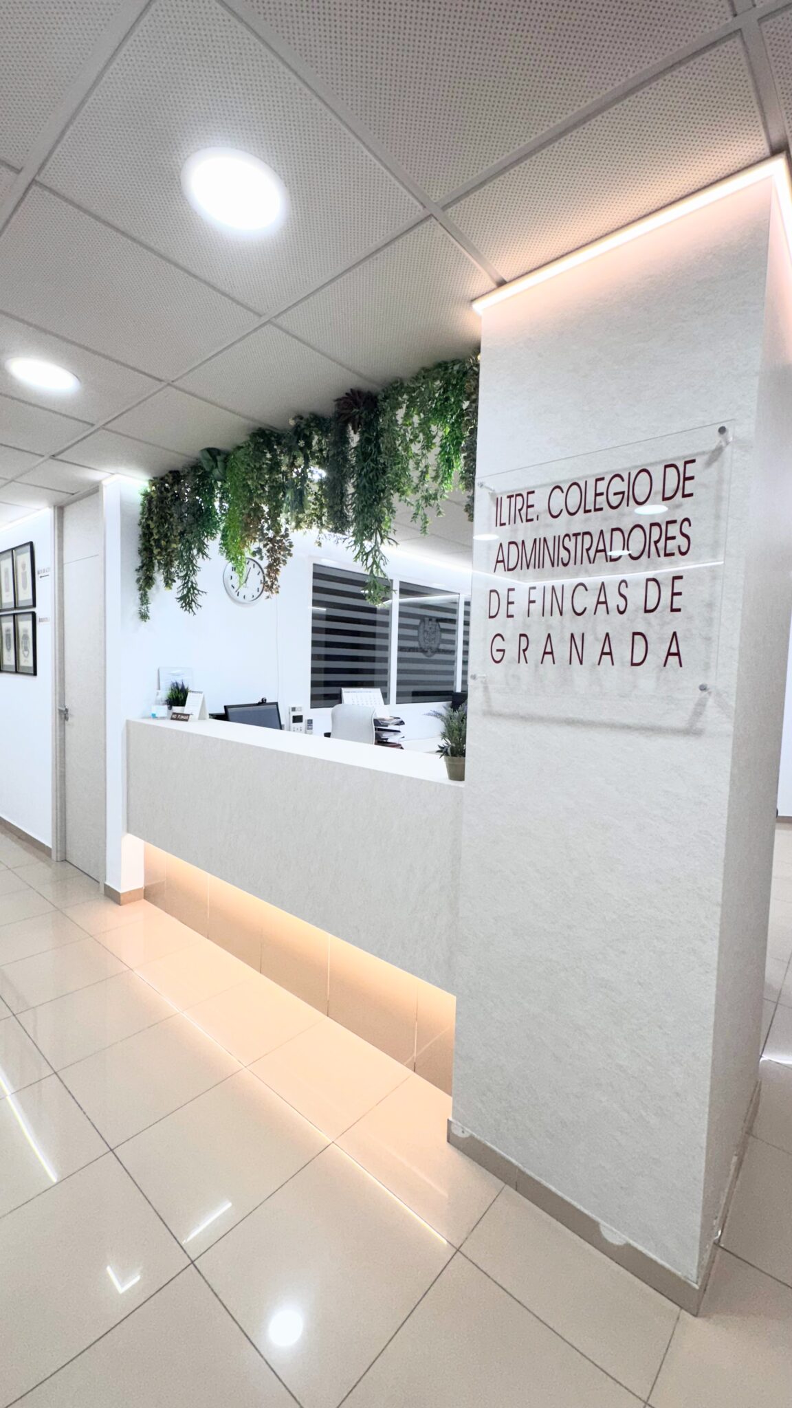 reforma integral oficinas Granada