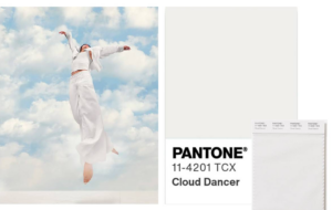 mi lucha contra el todo neutro.